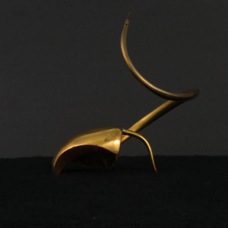 picture-4
